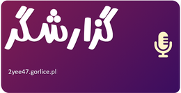 گزارشگر